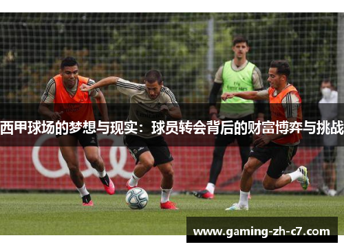 西甲球场的梦想与现实:球员转会背后的财富博弈与挑战 西甲球场的梦想与现实:球员转会背后的财富博弈与挑战