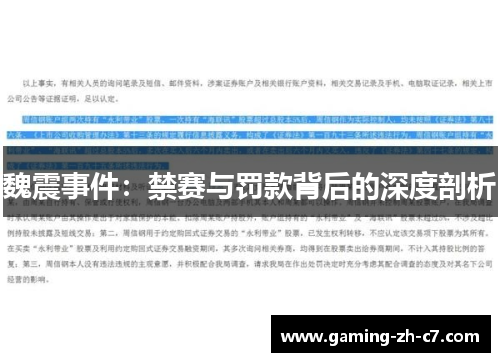 魏震事件：禁赛与罚款背后的深度剖析