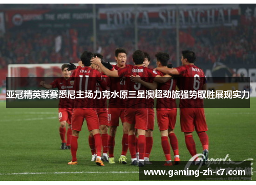 亚冠精英联赛悉尼主场力克水原三星澳超劲旅强势取胜展现实力