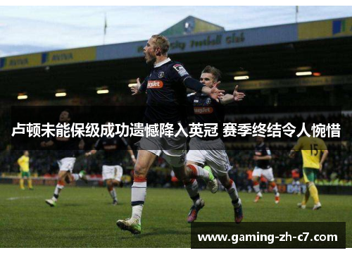 卢顿未能保级成功遗憾降入英冠 赛季终结令人惋惜